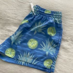 Men’s Chubbies 4” shortie stretch swim trunk